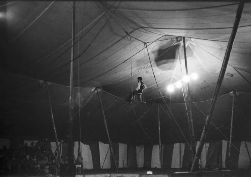 They Put a Five-Ton Elephant on Trial — Then Hanged Her in Front of a Crowd